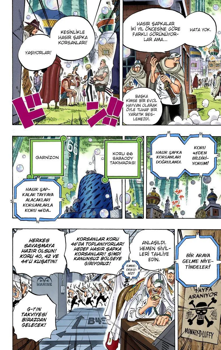 One Piece [Renkli] - Sayfa 14