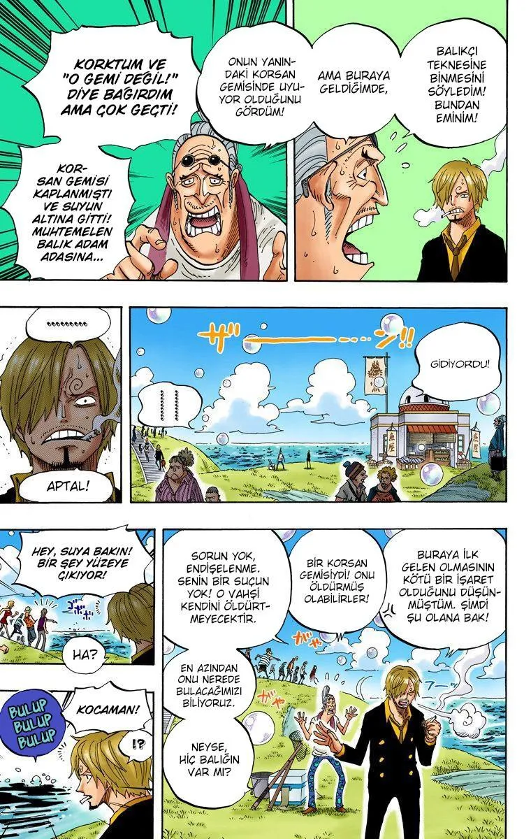 One Piece [Renkli] - Sayfa 17