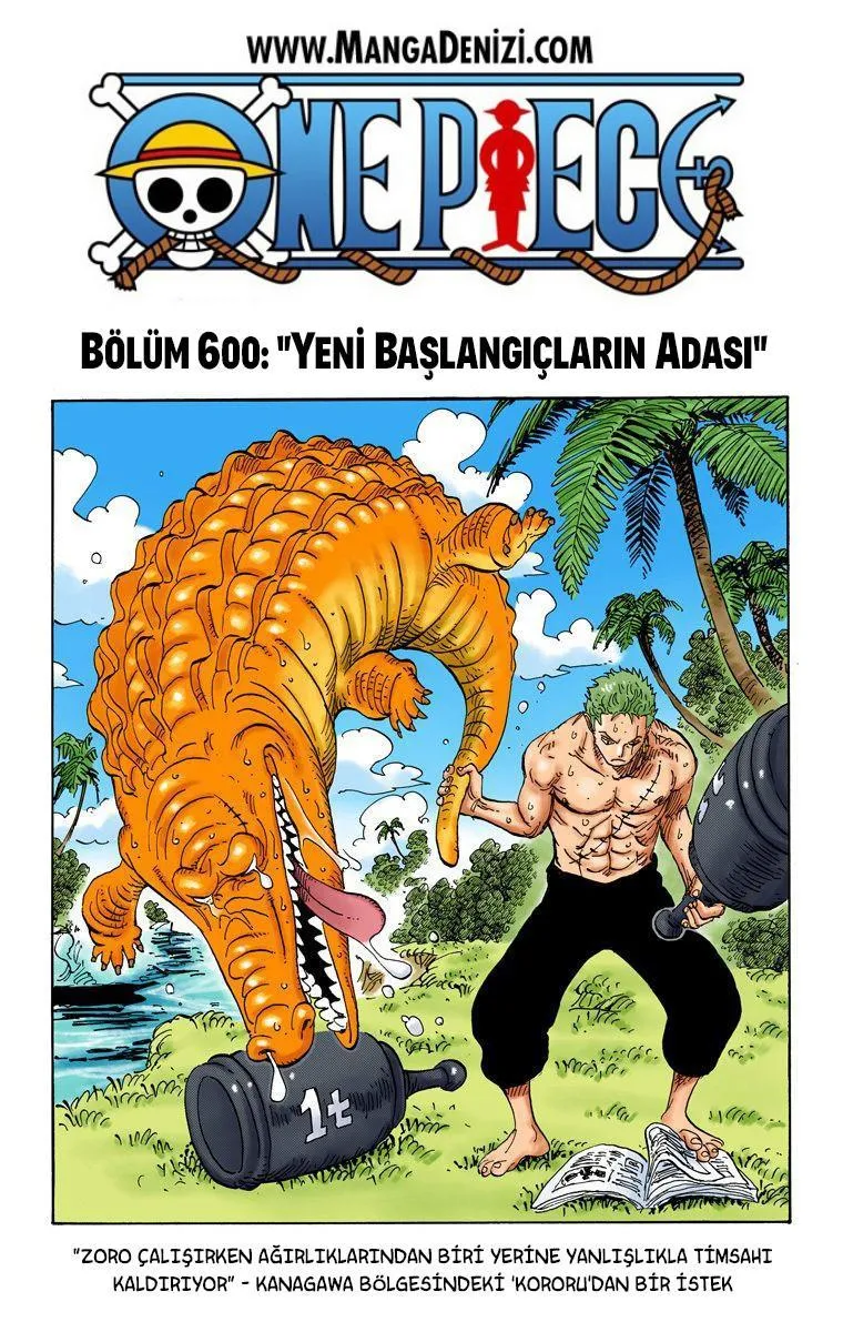 One Piece [Renkli] - Sayfa 2