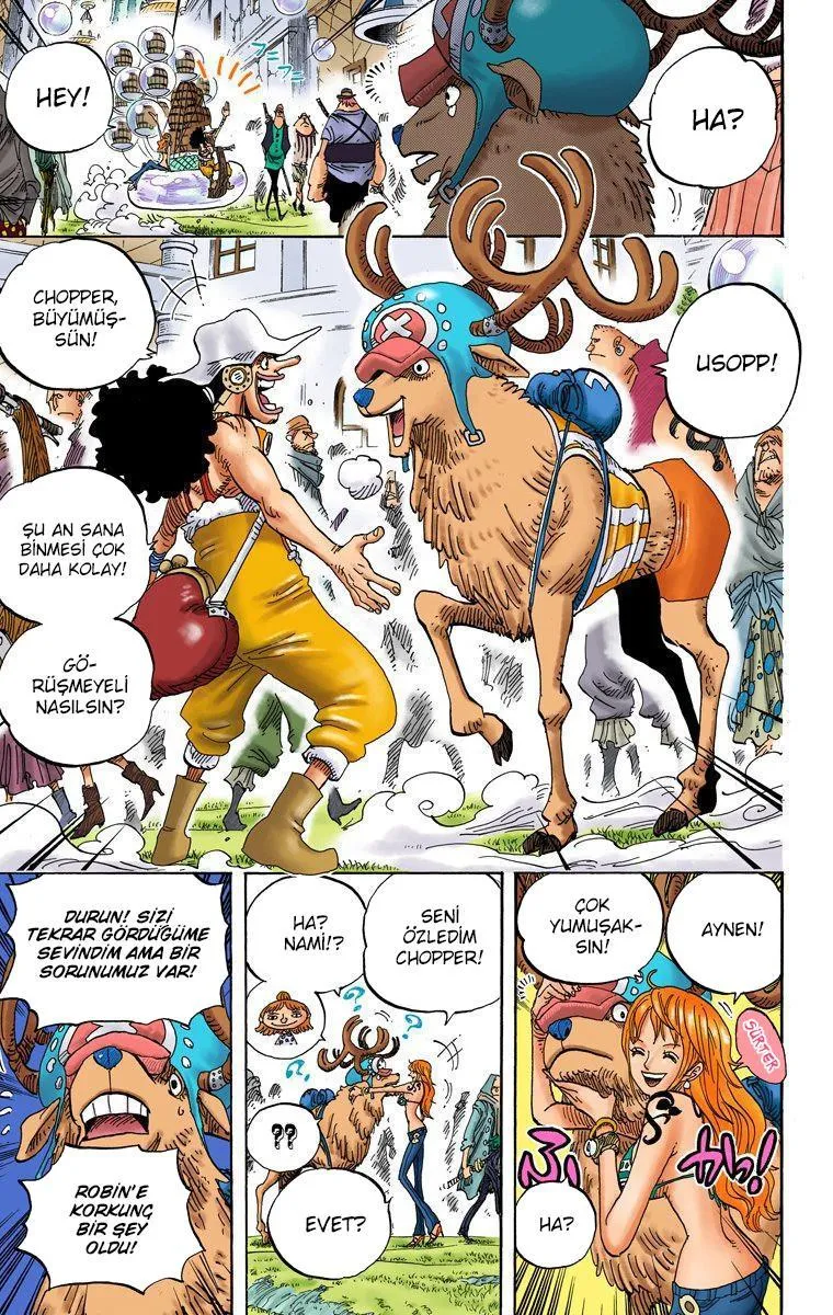 One Piece [Renkli] - Sayfa 4