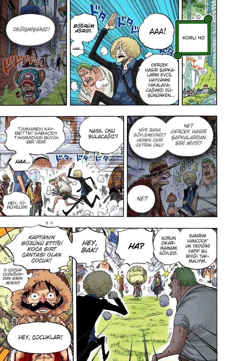 One Piece [Renkli] - Sayfa 6