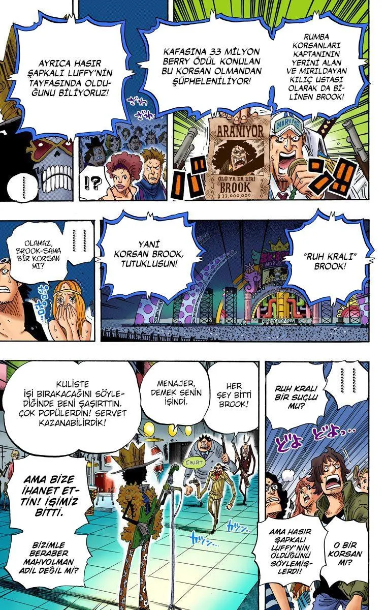 One Piece [Renkli] - Sayfa 13