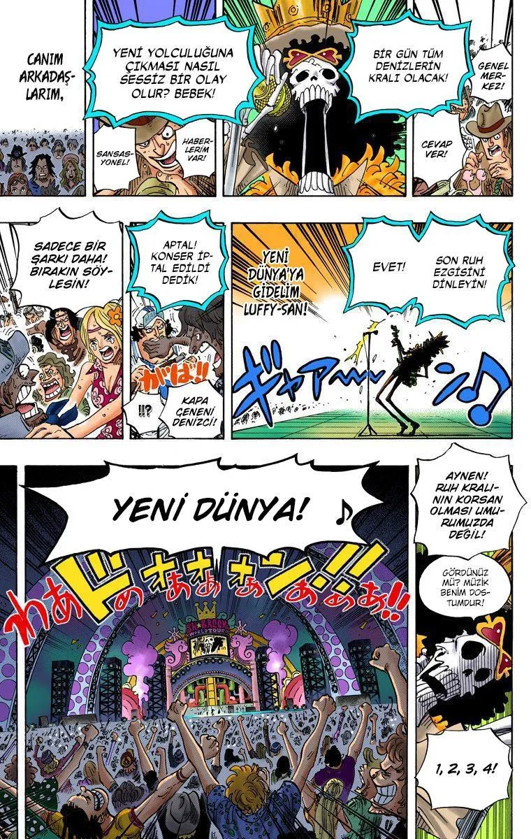 One Piece [Renkli] - Sayfa 15