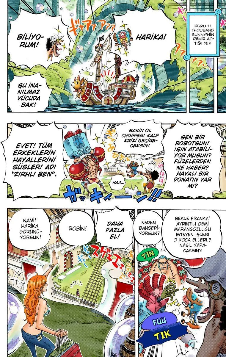 One Piece [Renkli] - Sayfa 16