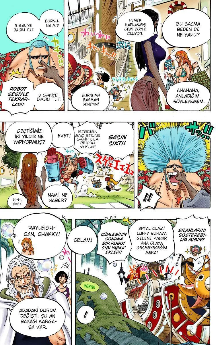 One Piece [Renkli] - Sayfa 17