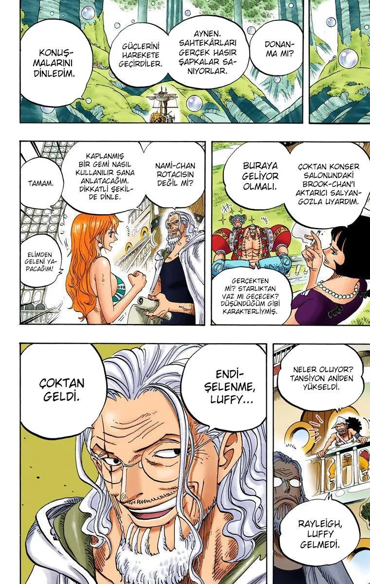 One Piece [Renkli] - Sayfa 18