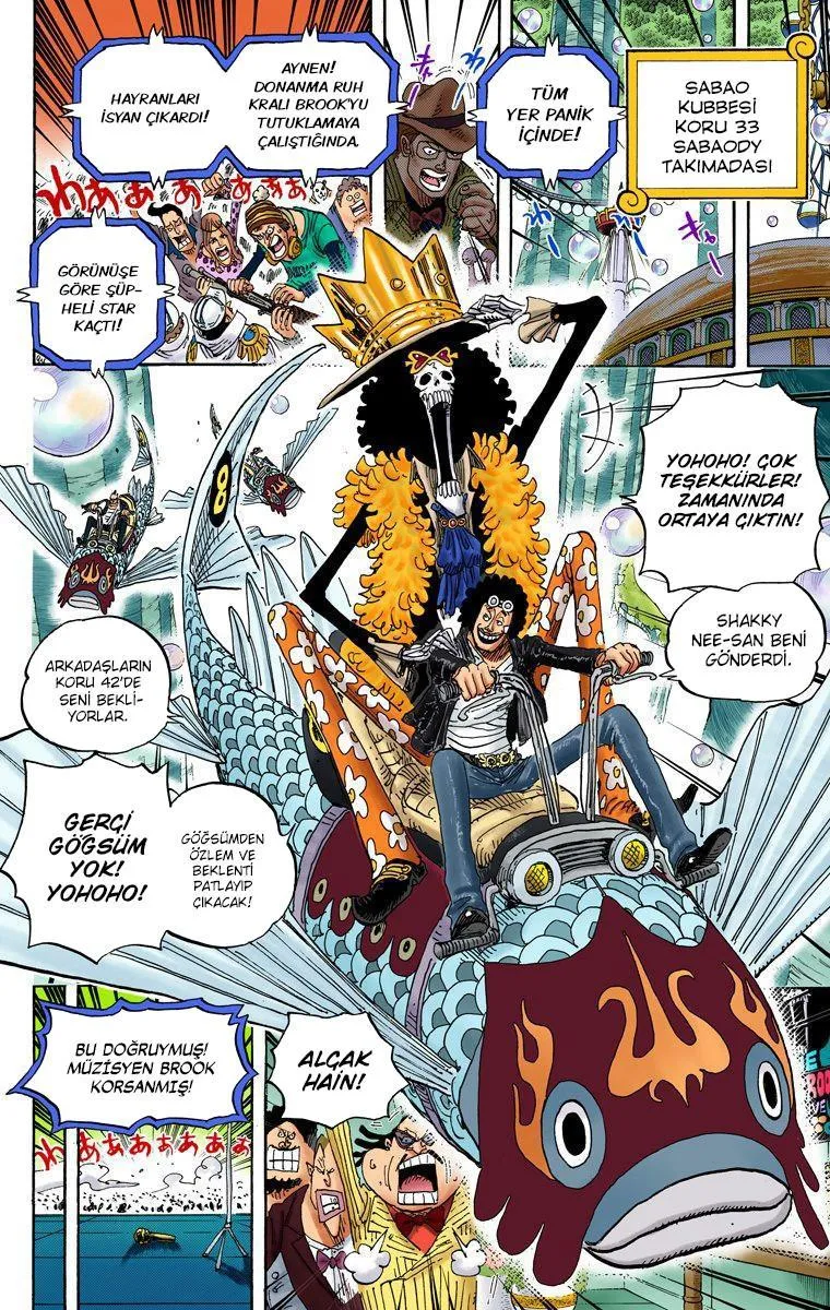 One Piece [Renkli] - Sayfa 3