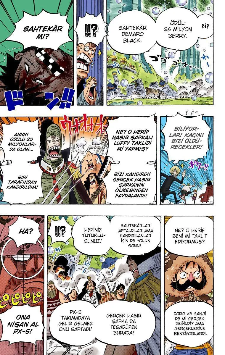 One Piece [Renkli] - Sayfa 11