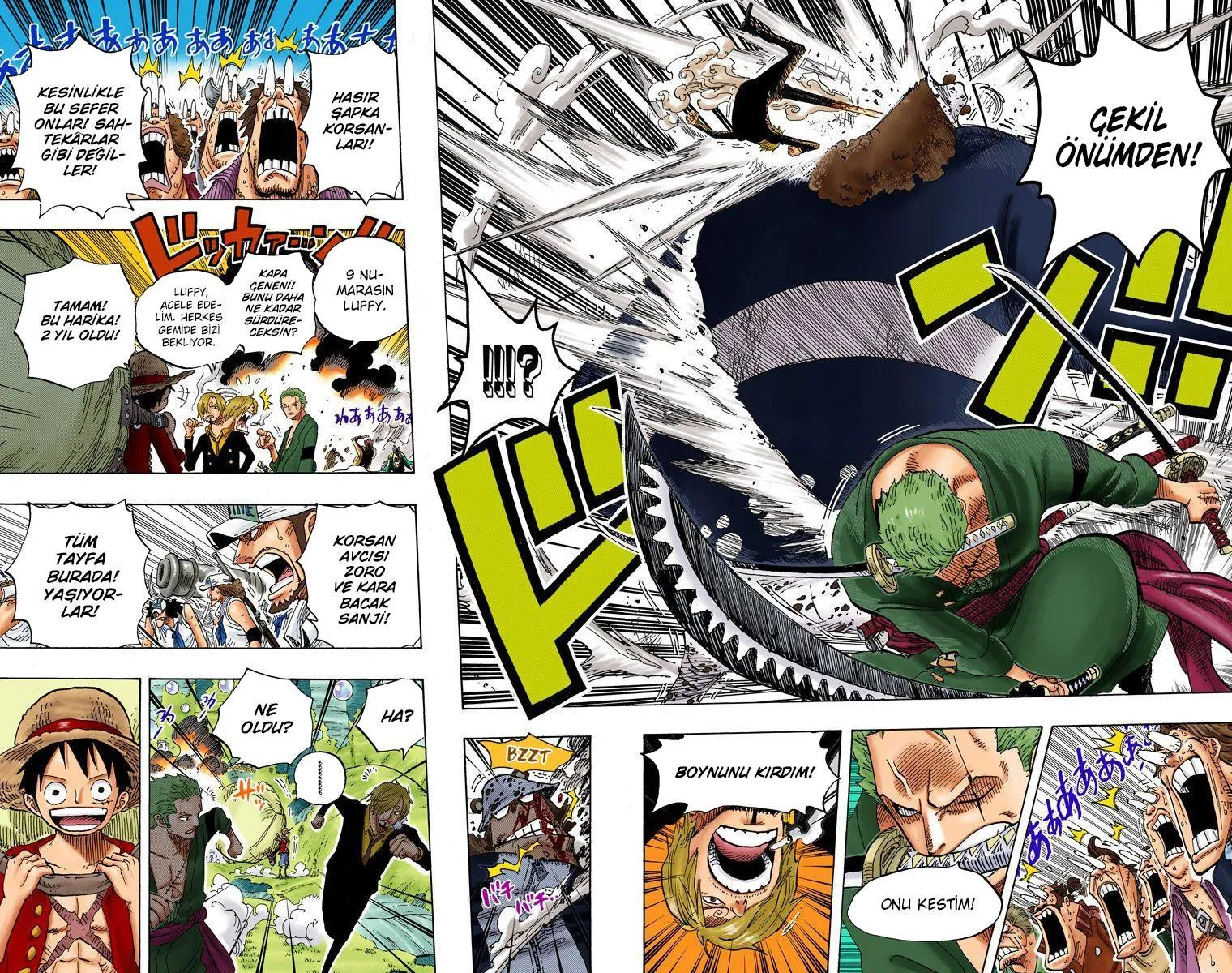 One Piece [Renkli] - Sayfa 15