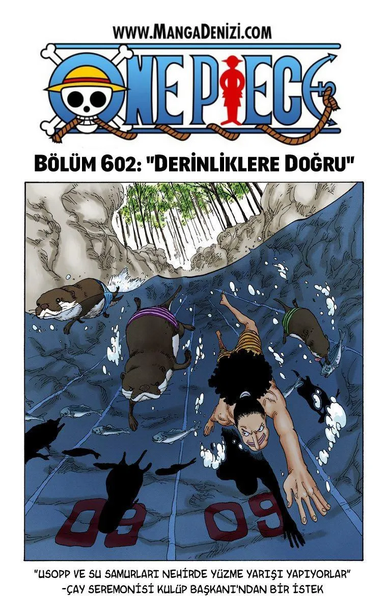 One Piece [Renkli] - Sayfa 2