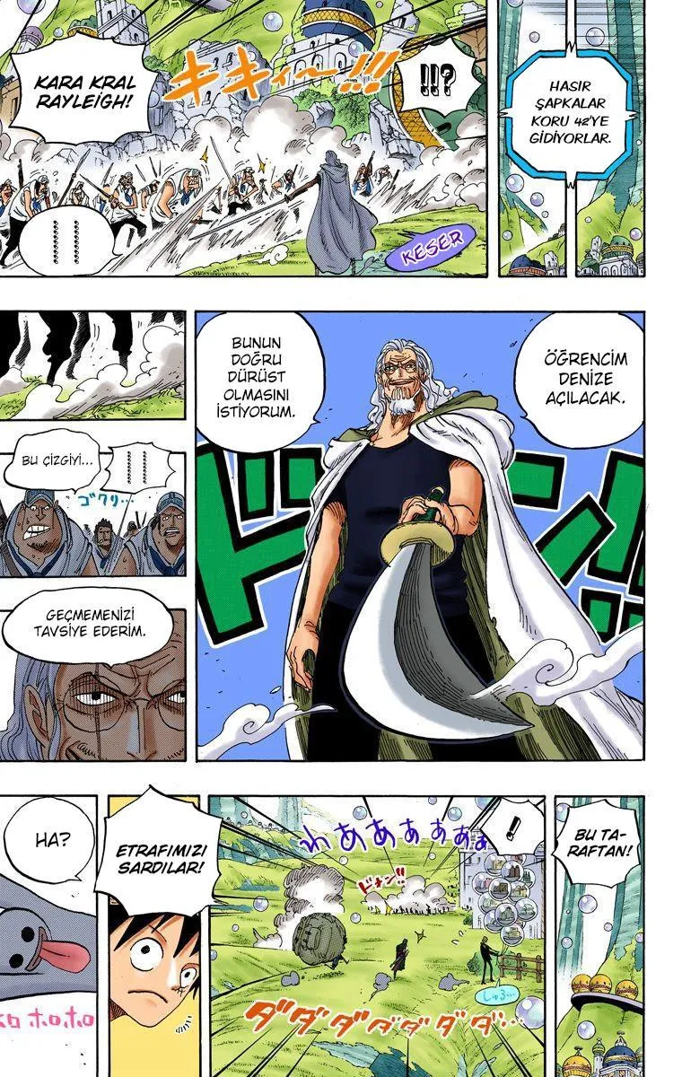 One Piece [Renkli] - Sayfa 4