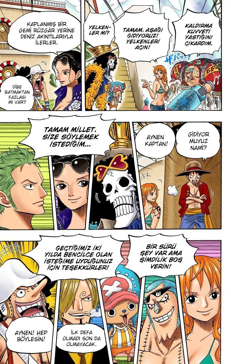 One Piece [Renkli] - Sayfa 15