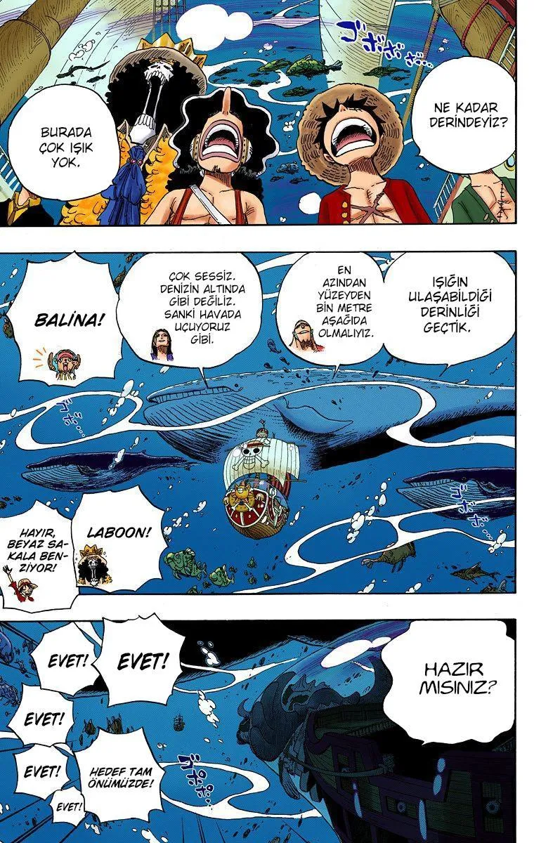 One Piece [Renkli] - Sayfa 3
