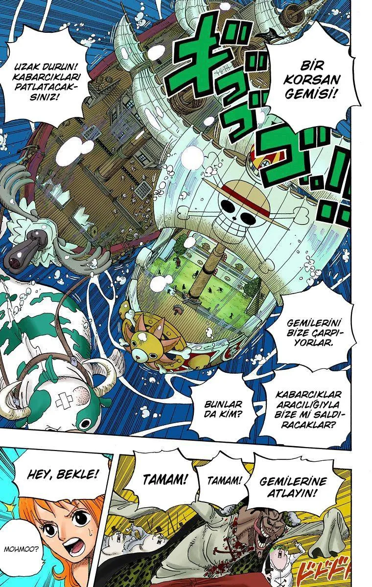 One Piece [Renkli] - Sayfa 5