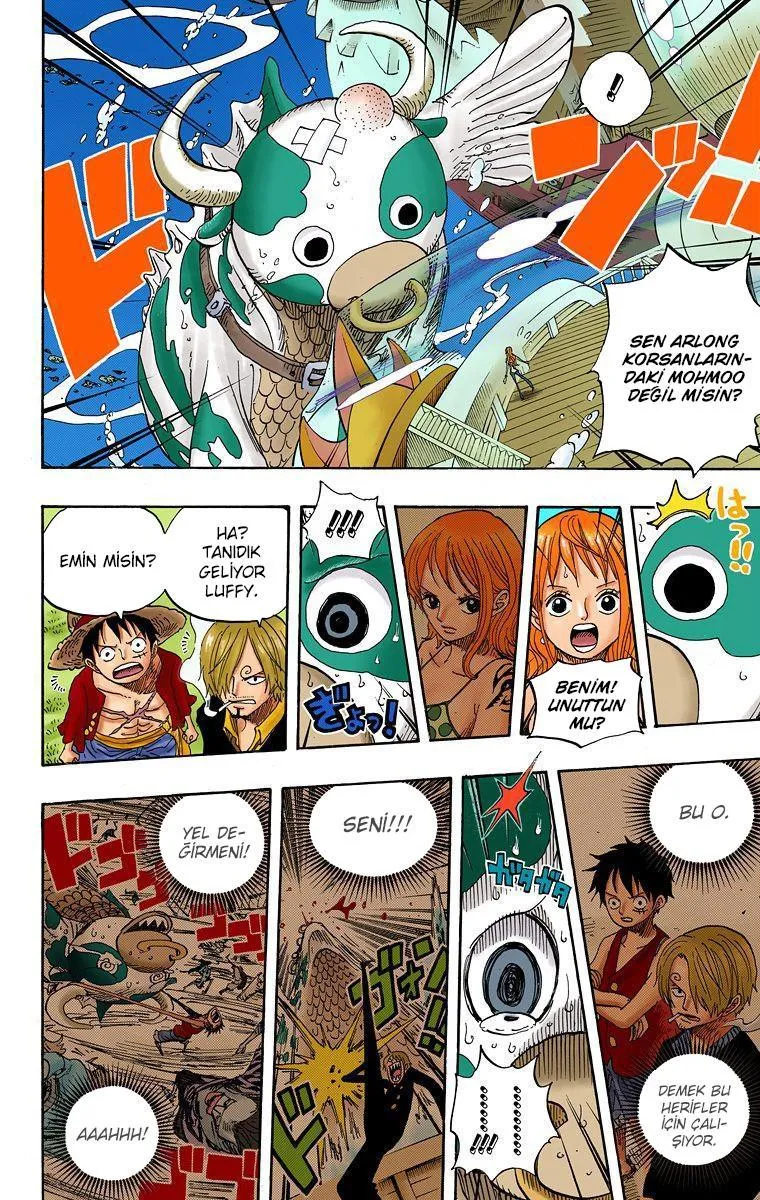 One Piece [Renkli] - Sayfa 6