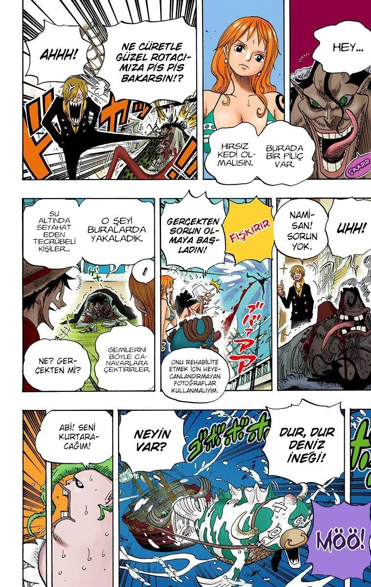 One Piece [Renkli] - Sayfa 10