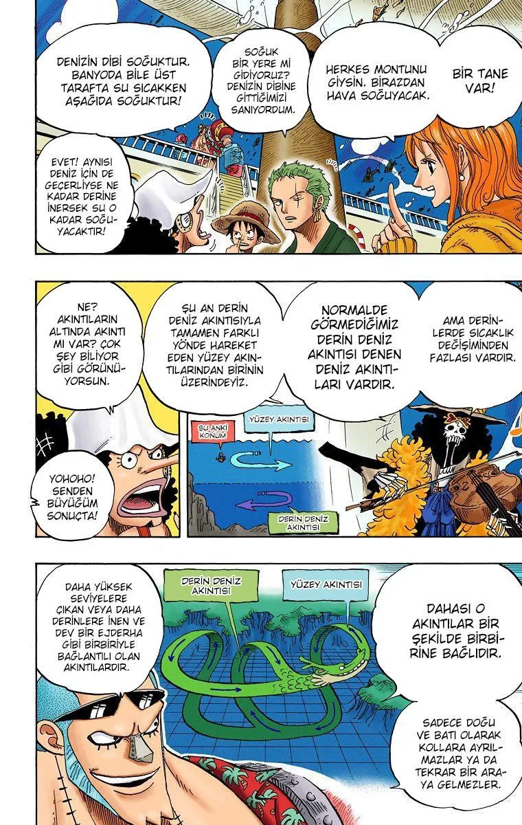 One Piece [Renkli] - Sayfa 12