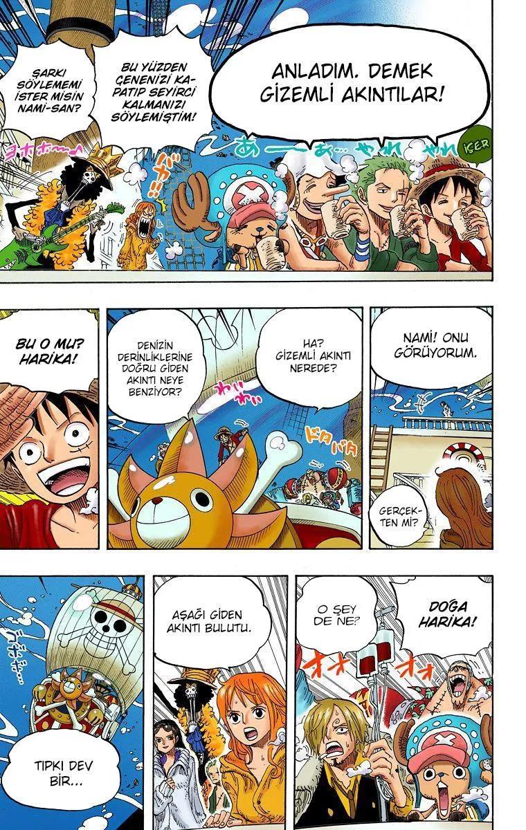 One Piece [Renkli] - Sayfa 15
