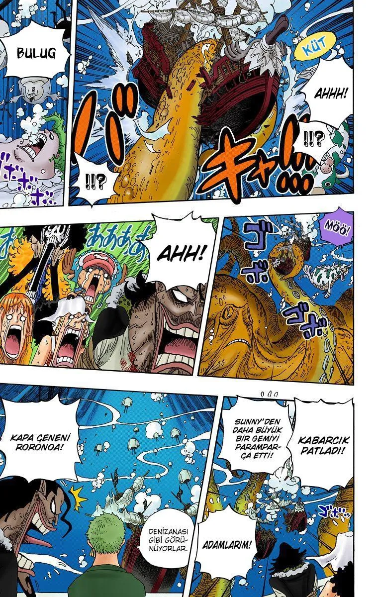 One Piece [Renkli] - Sayfa 6