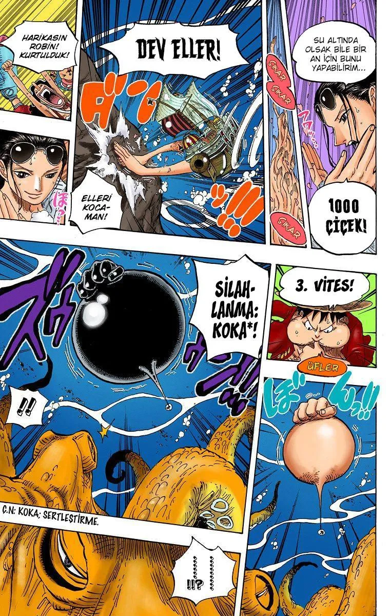 One Piece [Renkli] - Sayfa 12