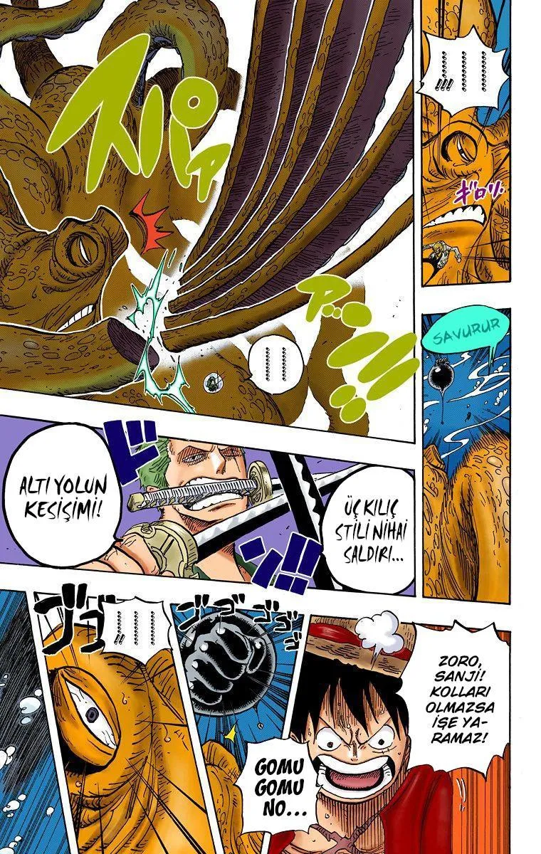 One Piece [Renkli] - Sayfa 14