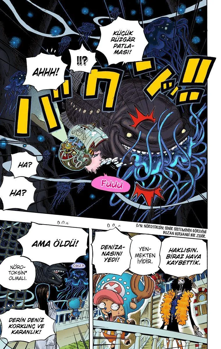 One Piece [Renkli] - Sayfa 4