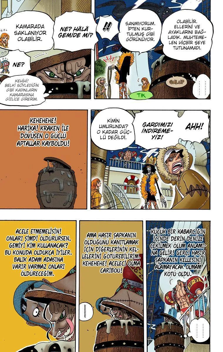 One Piece [Renkli] - Sayfa 6