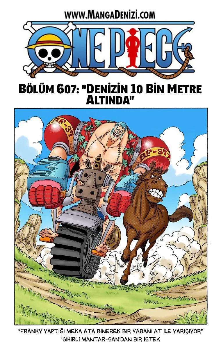 One Piece [Renkli] - Sayfa 2