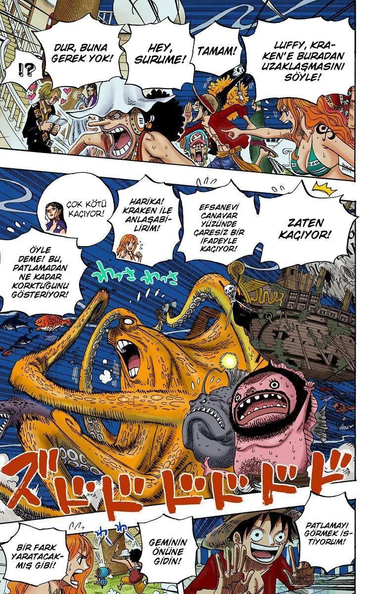 One Piece [Renkli] - Sayfa 4