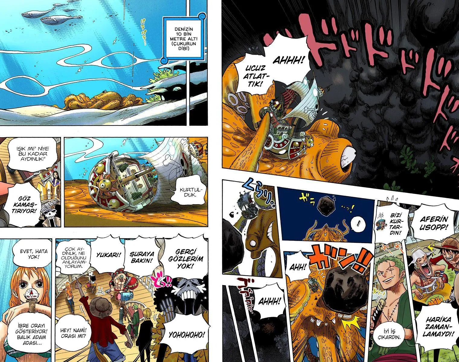 One Piece [Renkli] - Sayfa 10