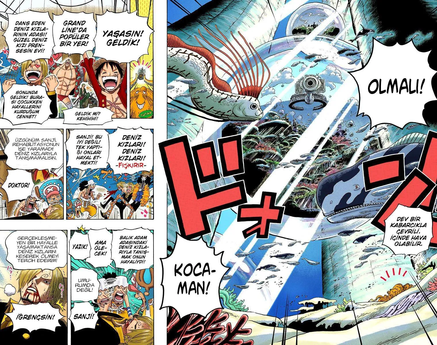 One Piece [Renkli] - Sayfa 11