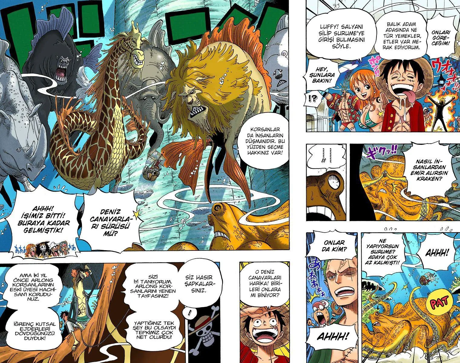 One Piece [Renkli] - Sayfa 12