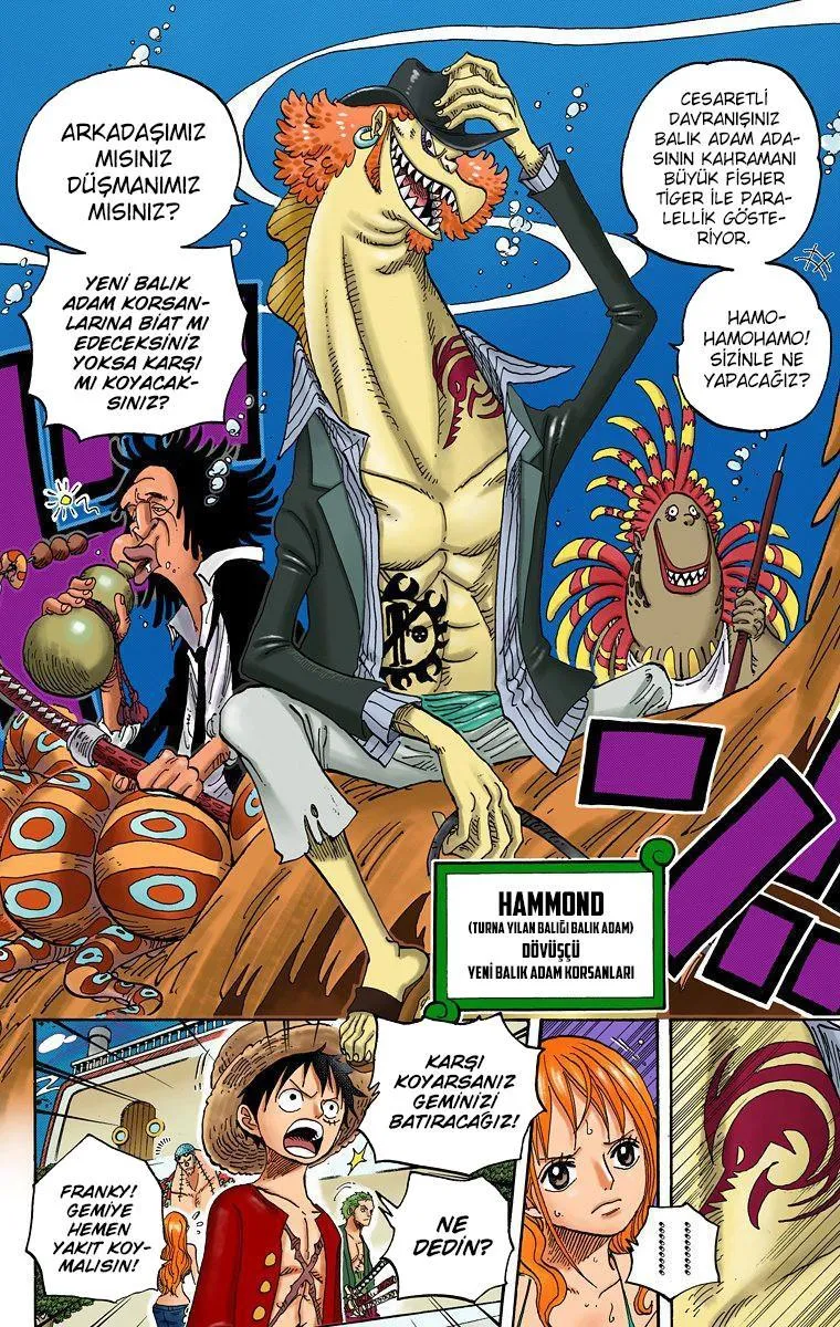 One Piece [Renkli] - Sayfa 13