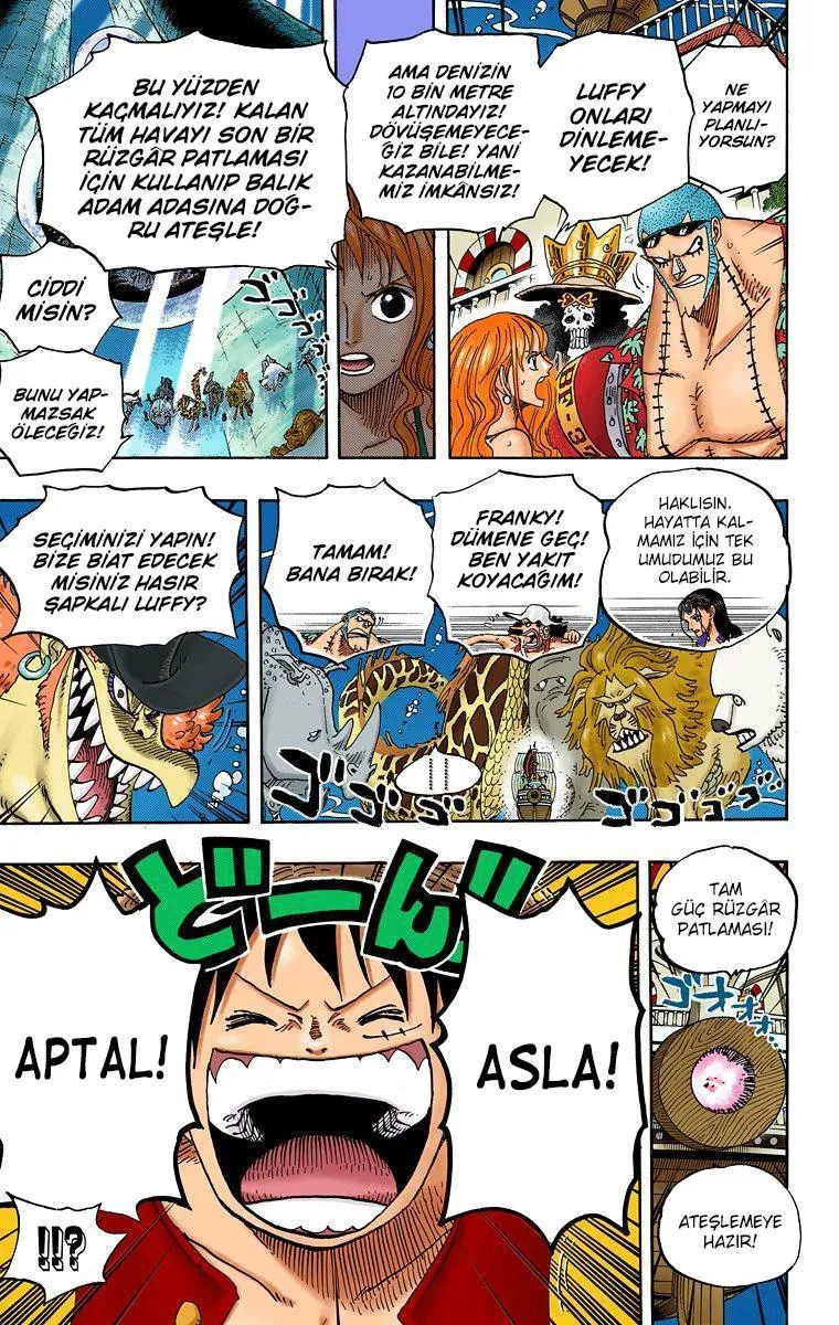 One Piece [Renkli] - Sayfa 14