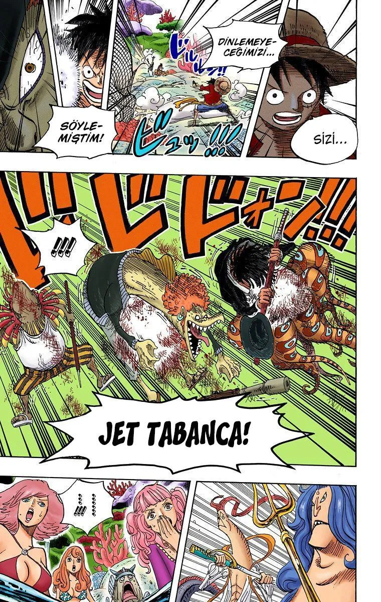 One Piece [Renkli] - Sayfa 13