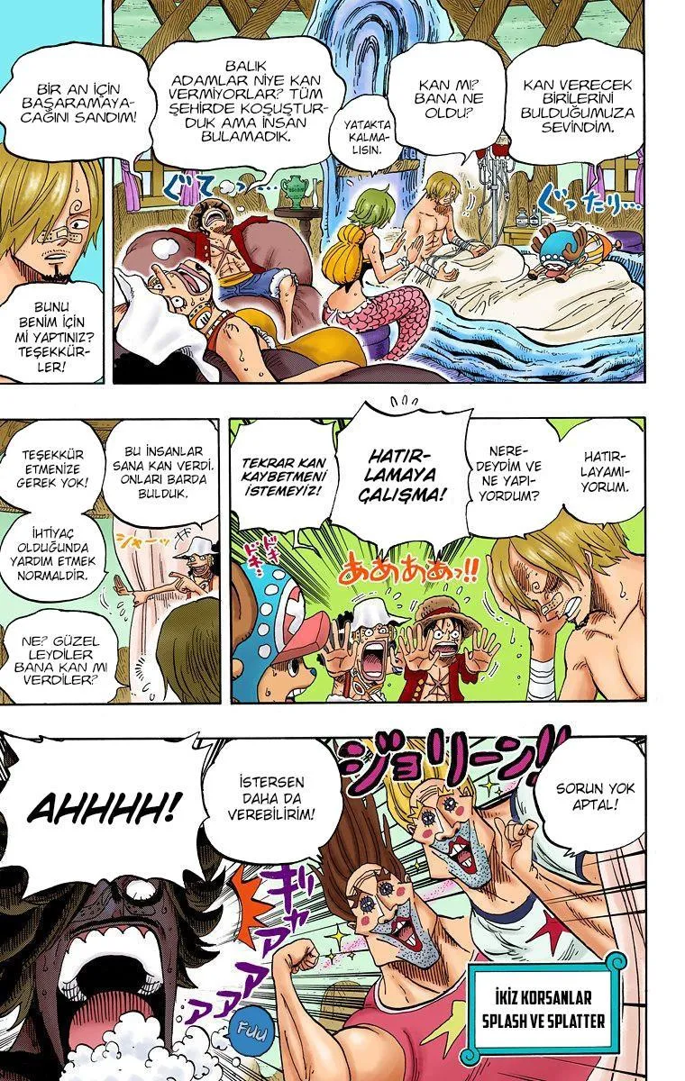 One Piece [Renkli] - Sayfa 4