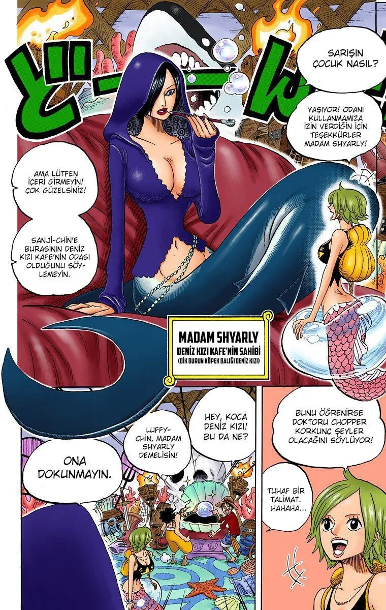 One Piece [Renkli] - Sayfa 7