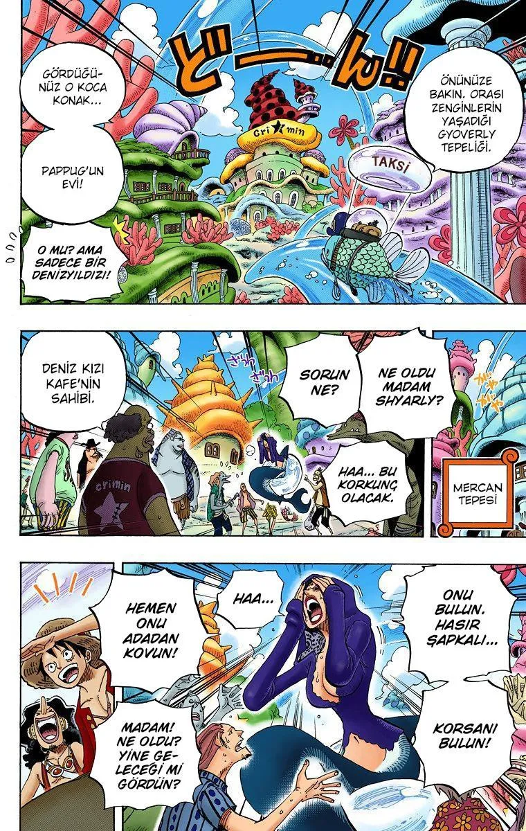 One Piece [Renkli] - Sayfa 15