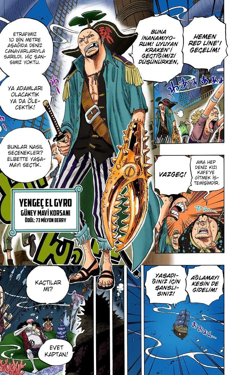 One Piece [Renkli] - Sayfa 4