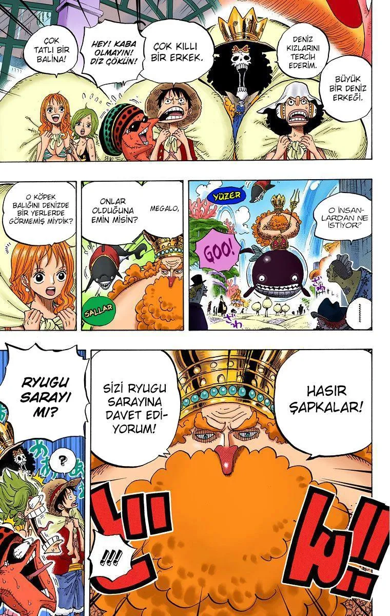 One Piece [Renkli] - Sayfa 11