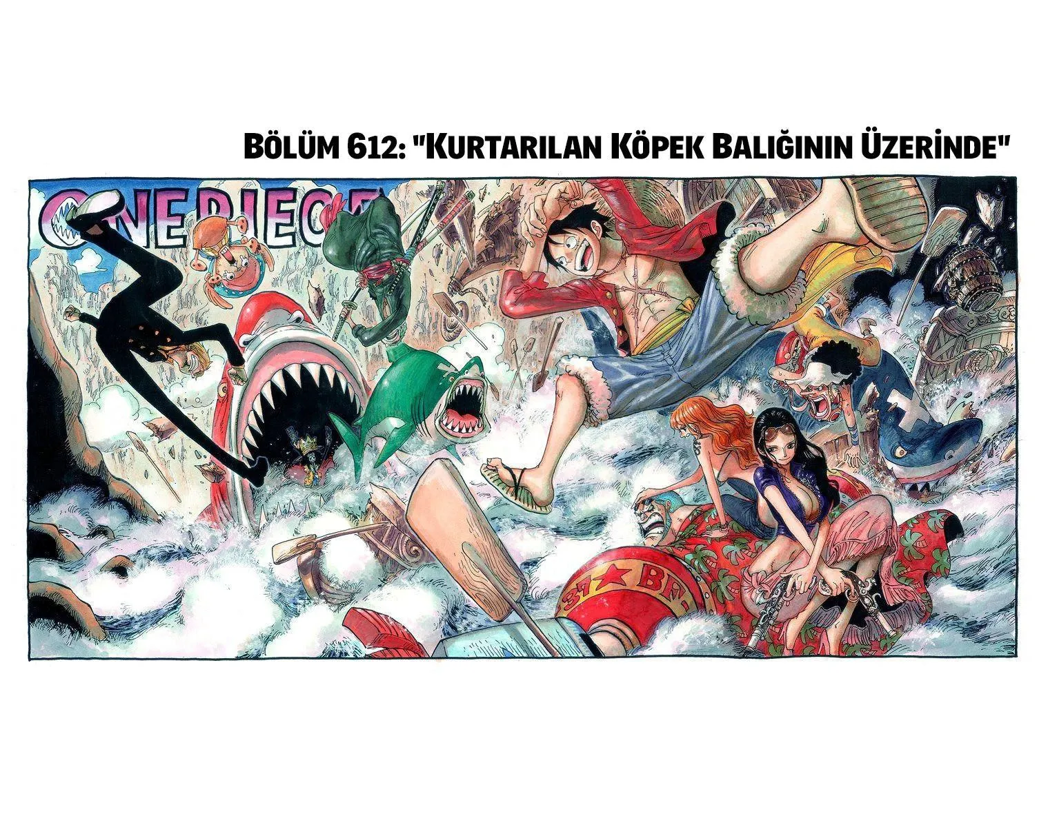 One Piece [Renkli] - Sayfa 2