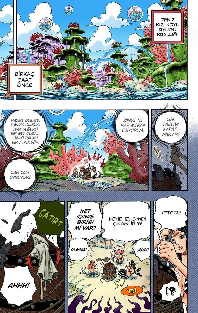 One Piece [Renkli] - Sayfa 3