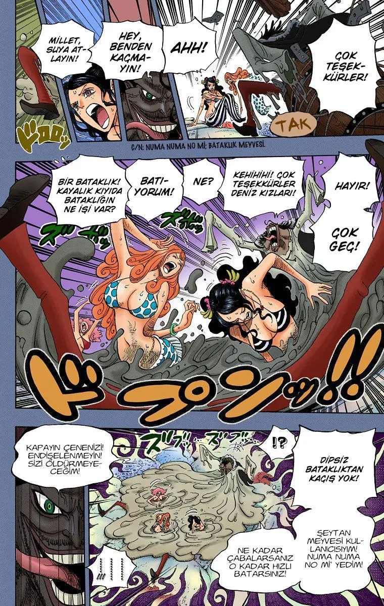 One Piece [Renkli] - Sayfa 4