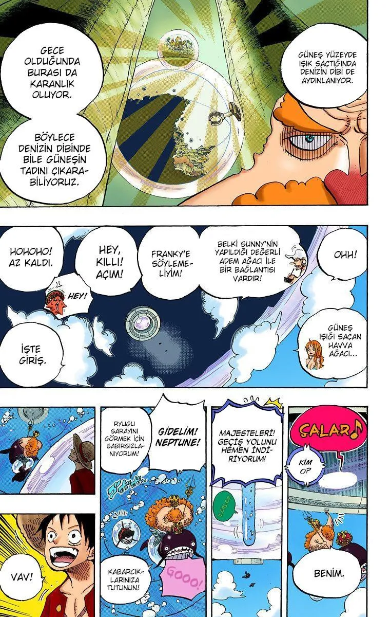 One Piece [Renkli] - Sayfa 11