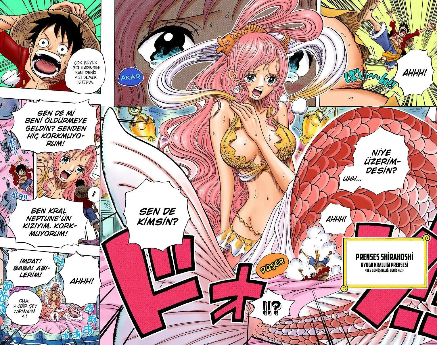 One Piece [Renkli] - Sayfa 17