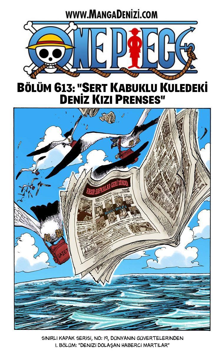 One Piece [Renkli] mangasının 0613 bölümünün 2. sayfasını okuyorsunuz.