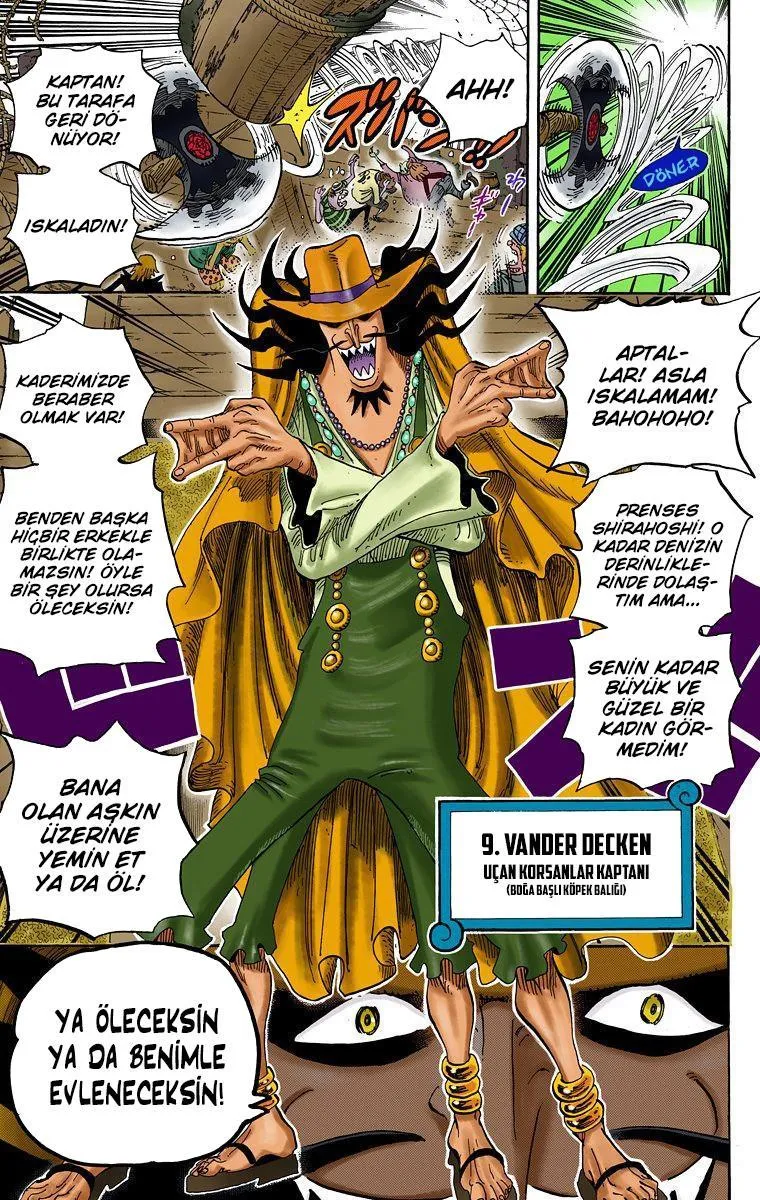 One Piece [Renkli] - Sayfa 4