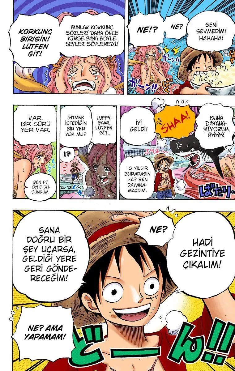 One Piece [Renkli] - Sayfa 13