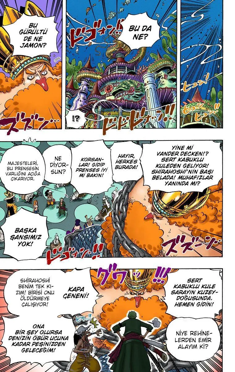 One Piece [Renkli] - Sayfa 13