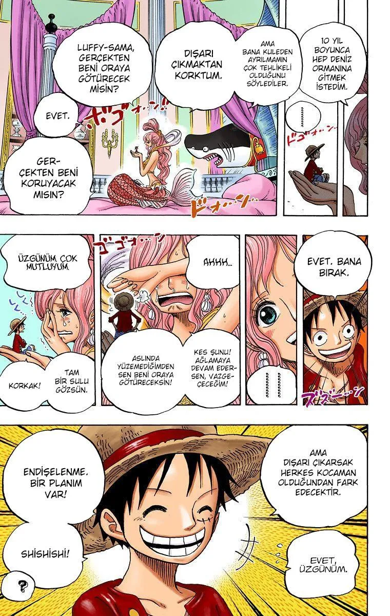 One Piece [Renkli] - Sayfa 15